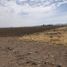  Land for sale in Cuauhtemoc, Chihuahua, Cuauhtemoc
