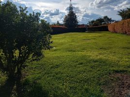  Grundstück zu verkaufen in Rionegro, Antioquia, Rionegro