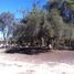 Terreno (Parcela) en venta en Chile, Copiapo, Copiapó, Atacama, Chile