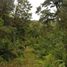  Land for sale in Llanquihue, Los Lagos, Puerto Varas, Llanquihue
