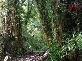  Land for sale in Llanquihue, Los Lagos, Puerto Varas, Llanquihue