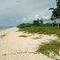  Land for sale in Daanbantayan, Cebu, Daanbantayan