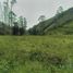  Land for sale in Pallatanga, Chimborazo, Pallatanga, Pallatanga