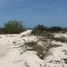  Grundstück zu verkaufen in Celestun, Yucatan, Celestun