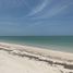  Grundstück zu verkaufen in Celestun, Yucatan, Celestun