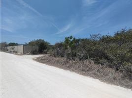  Grundstück zu verkaufen in Celestun, Yucatan, Celestun