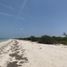  Grundstück zu verkaufen in Celestun, Yucatan, Celestun