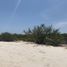  Grundstück zu verkaufen in Celestun, Yucatan, Celestun