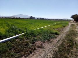  Grundstück zu verkaufen in Tequisquiapan, Queretaro, Tequisquiapan