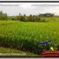  Land for sale in Selemadeg, Tabanan, Selemadeg