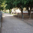 Condominium 3 chambre à vendre à Zapopan, Jalisco, Zapopan
