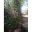  Villa for sale in Ojos del Caburga, Cautin, Pucon, Cautin