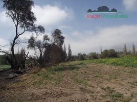  Land for sale in Chile, Copiapo, Copiapo, Atacama, Chile