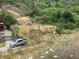  Terreno (Parcela) en venta en Biobío, Concepcion, Concepción, Biobío
