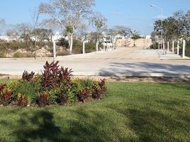  Grundstück zu verkaufen in Tixpehual, Yucatan, Tixpehual
