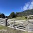  Land for sale in Chile, Puerto Varas, Llanquihue, Los Lagos, Chile
