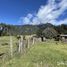  Land for sale in Chile, Puerto Varas, Llanquihue, Los Lagos, Chile