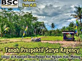  Land for sale in Malang Regency, East Jawa, Kepanjen, Malang Regency