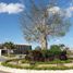  Land for sale in Yaxkukul, Yucatan, Yaxkukul