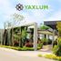  Land for sale in Yaxkukul, Yucatan, Yaxkukul