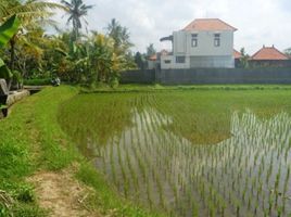  Grundstück zu verkaufen in Gianyar, Bali, Ubud