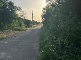  Land for sale in Tixkokob, Yucatan, Tixkokob
