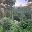  Land for sale in Tixkokob, Yucatan, Tixkokob