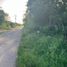  Land for sale in Tixkokob, Yucatan, Tixkokob