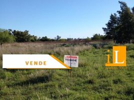  Terreno (Parcela) en venta en Brandsen, Buenos Aires, Brandsen