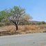  Land for sale in Ixtlahuacan De Los Membrillos, Jalisco, Ixtlahuacan De Los Membrillos