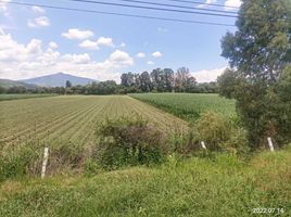 Land for sale in Tarimbaro, Michoacan, Tarimbaro