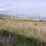  Land for sale in Tarimbaro, Michoacan, Tarimbaro