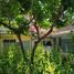  Casa en venta en Margacinta, West Jawa, Margacinta