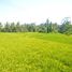  Land for sale in Ubud, Gianyar, Ubud