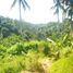  Land for sale in Ubud, Gianyar, Ubud