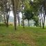  Terreno (Parcela) en venta en Lembang, West Jawa, Lembang, Bandung