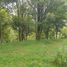  Terreno (Parcela) en venta en Lembang, West Jawa, Lembang, Bandung
