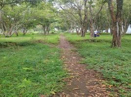  Terreno (Parcela) en venta en Lembang, West Jawa, Lembang, Bandung