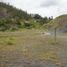  Land for sale in Azuay, Paccha, Cuenca, Azuay