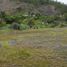  Land for sale in Paccha, Azuay, Paccha