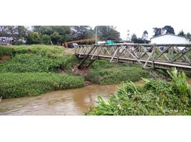  Land for sale in Rionegro, Antioquia, Rionegro