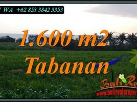  Land for sale in Selemadeg, Tabanan, Selemadeg