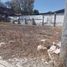  Land for rent in Morelia, Michoacan, Morelia