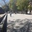  Land for rent in Morelia, Michoacan, Morelia