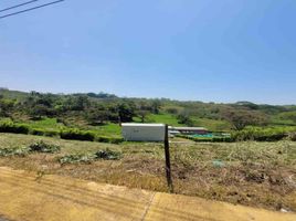  Land for sale in Caldas, Manizales, Caldas