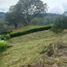  Land for sale in Caldas, Manizales, Caldas