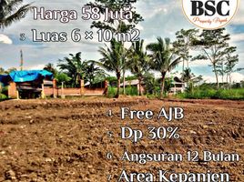  Land for sale in Kepanjen, Malang Regency, Kepanjen