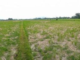  Land for sale in Jenggawah, Jember, Jenggawah