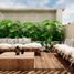 1 Schlafzimmer Wohnung zu verkaufen in Cozumel, Quintana Roo, Cozumel, Quintana Roo