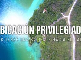  Grundstück zu verkaufen in Othon P Blanco, Quintana Roo, Othon P Blanco